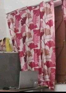Pink Curtains