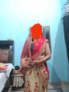 Behad Comfortable Lehnga Choli