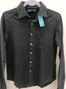 Apple SHIRT Sea Green Color