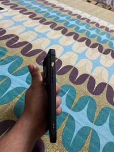 Puloka Black iPhone 12 Pro Max Case
