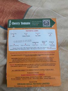 VEGETABLE SEEDS-CHERRY TOMATO