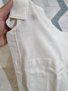 New Zara Button-Down Shirt