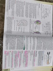 Human Anatomy Volume 3 with free workbook