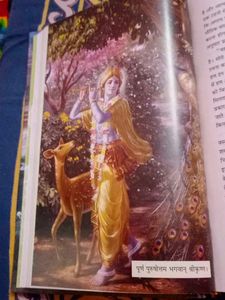 श्री कृष्ण - लीला पुरुषोत्तम भगवान