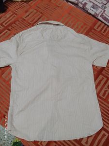Cotton Shirt For Men