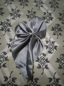 Scrunchy With a Hair Clip