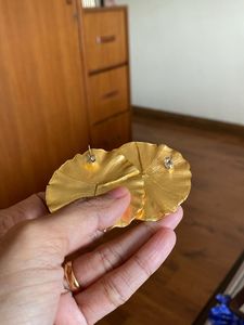 Mango Round Stunning Earrings