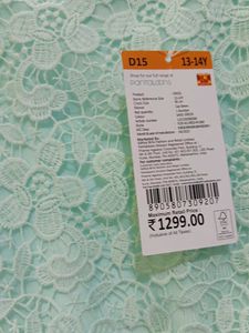 Mint Lace &amp; Tulle Girls Dress
