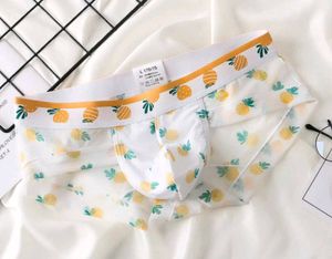 Pineapple Print U Convex Pouch  Transparent Brief