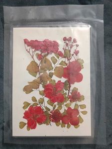 Pressed Flower Art Card