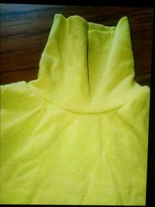 Green Turtleneck Long Sleeve Top