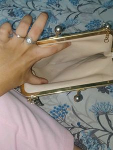 Leopard Print Clutch