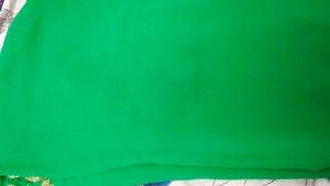 Green Saree With Blouse