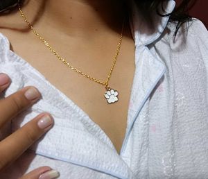 Paw Chain necklace 🎀🐾