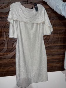 Sparkly Silver Body on Dress Brand New