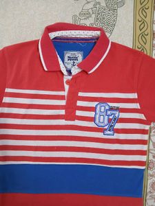 Polo T Shirt For Boys 7/8 Years