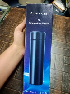 Temperature Bottle