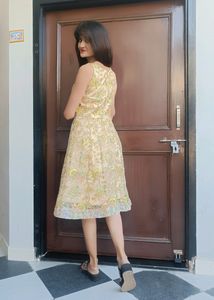 Embroidery Net One Peice Dress