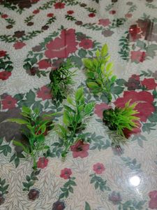 Plastic Grasses And Plants
