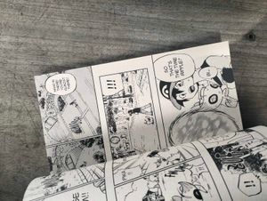 Pokemon Zoroark - manga, comic, novel, book