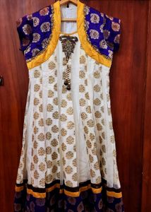 Elegant Indian Anarkali Dress