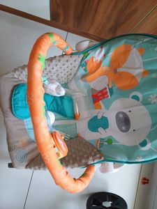 Portable Baby Rocker