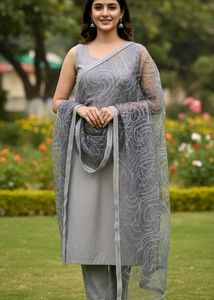 Grey Elegant Net Dupatta