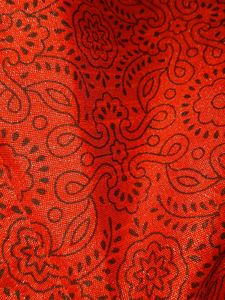 Red Brocade Blouse