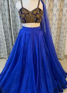 Blue Embellished Lehenga Choli