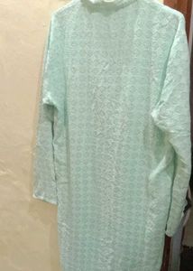 Elegant Light Green Kurta