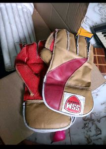 Cricket Kit Legpad Gloves Helmet Keeping Glovess