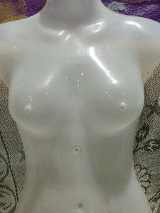 Female Mannequin Torso Form