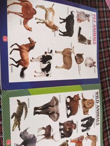 All In One