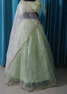 Elegant Mint Green Lehenga Choli Set