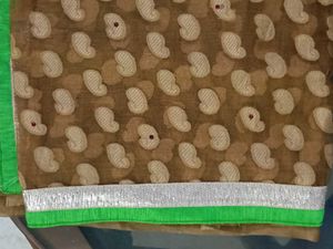 Brown &amp; Green Saree with Unique Print