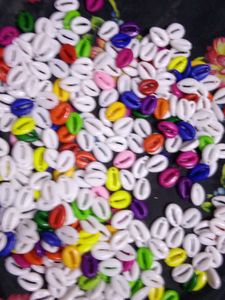 Kouri Shells