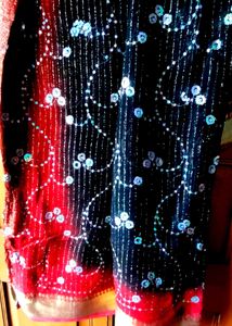 Sparkling Red &amp; Black Saree