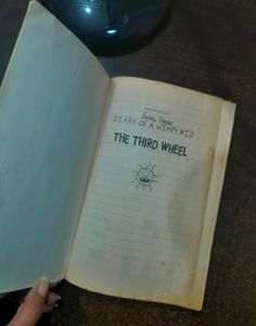 Diary Of A Wimpy Kid The Third Wheel