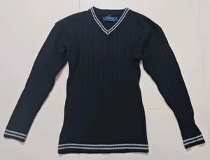 Academia Y2K Ribbed full sleeve V-neck sweater