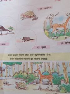 Surbhi Class 6 Sanskrit