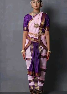 Ready Made bharatnatyam dress