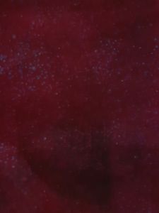 Organza Fabric