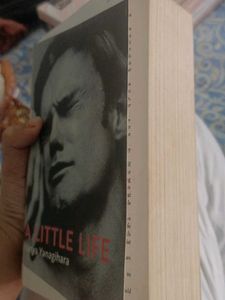 A little life (Novel)