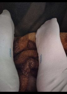 🎀used socks for women🎀