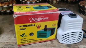 Pump Moters