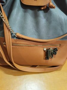 baggit Tote Bag