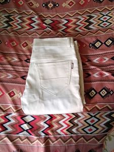 36 Inches Formal Pant