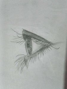 Eye Sketch Artwork