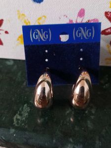 Elegant Teardrop Earrings