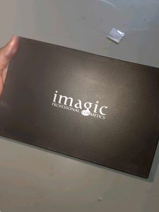 I magic professional eyeshadow palette